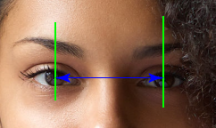 the distance between your pupils is your horizontal PD